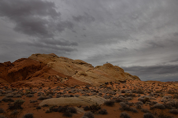 Nevada- Valley of Fire Landscape 9