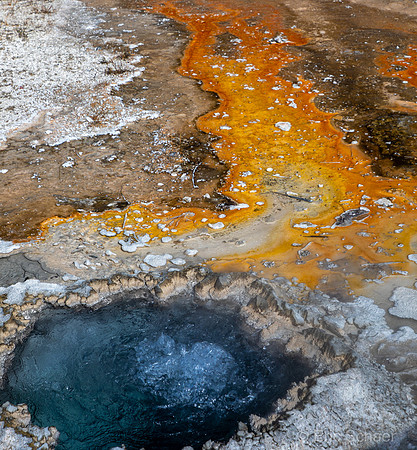 Yellowstone-2879